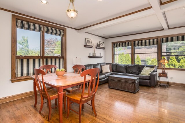 1806 Woodland Ave, Park Ridge, IL 60068 - photo 12