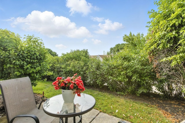 13504 S Buckthorn Ln, Plainfield, IL 60544 - view of grassy yard with a patio area