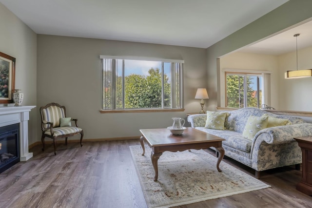 13504 S Buckthorn Ln, Plainfield, IL 60544 - living area featuring wood finished floors and a glass covered fireplace