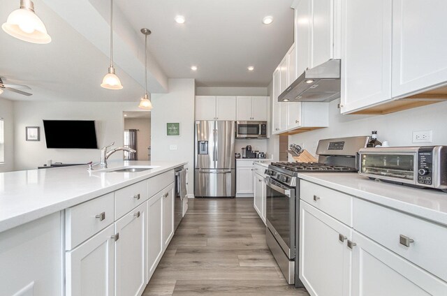 3068 Grande Trl, Yorkville, IL 60560 - kitchen with appliances with stainless steel finishes, range hood, light countertops, light wood-type flooring, and white cabinets