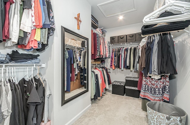 3068 Grande Trl, Yorkville, IL 60560 - spacious closet featuring attic access and carpet floors