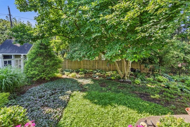 1213 W Charles St, Champaign, IL 61821 - photo 42