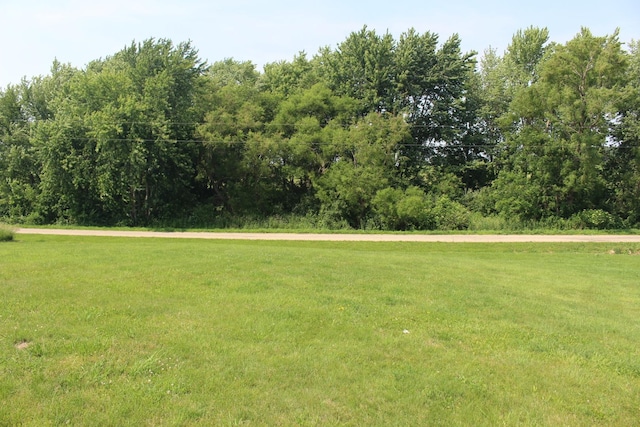 16666 Carle Springs Rd, Wapella, IL 61777 - view of green lawn