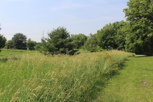 16666 Carle Springs Rd, Wapella, IL 61777 - view of undeveloped land