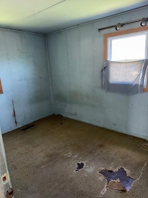 300 Notre Dame Ave, Joliet, IL 60436 - spare room with carpet