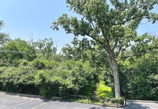 6700 S Brainard Ave Unit 223, Countryside, IL 60525 - view of nature