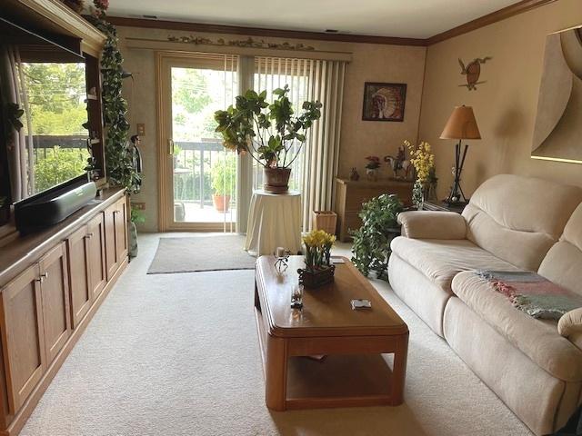 6700 S Brainard Ave Unit 223, Countryside, IL 60525 - living room featuring light colored carpet and ornamental molding