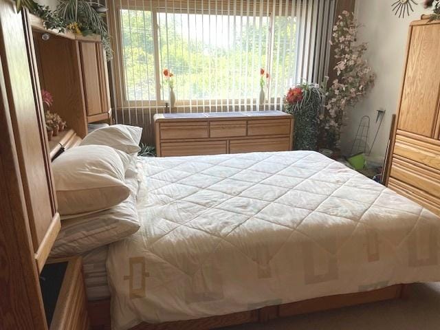 6700 S Brainard Ave Unit 223, Countryside, IL 60525 - view of bedroom