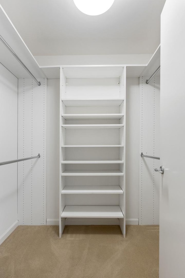 530 N Lake Shore Dr Unit 2408, Chicago, IL 60611 - spacious closet featuring carpet flooring
