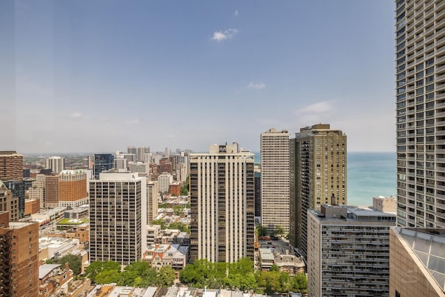 100 E Walton St Unit 38H, Chicago, IL 60611 - city view with a large body of water