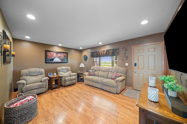 14893 Plank Rd, Sycamore, IL 60178 - living area featuring light wood-type flooring and recessed lighting