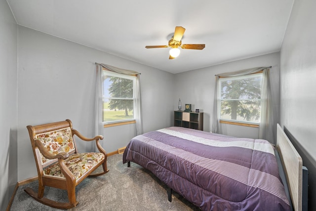 14893 Plank Rd, Sycamore, IL 60178 - carpeted bedroom with baseboards and ceiling fan