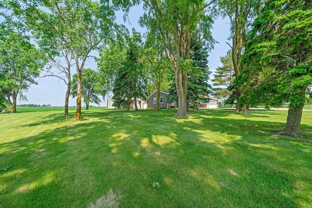 14893 Plank Rd, Sycamore, IL 60178 - view of grassy yard