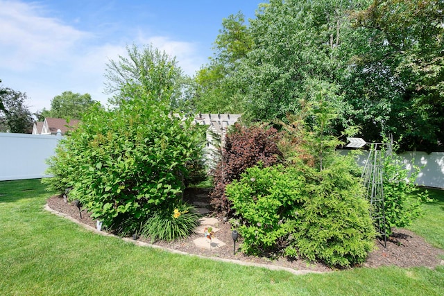 17815 Iroquois, Tinley Park, IL 60477 - view of yard