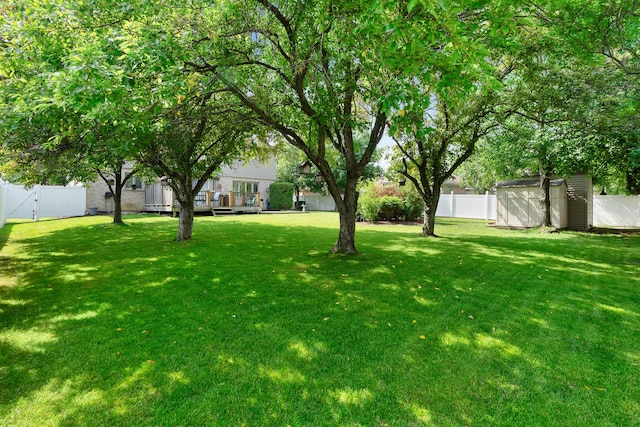 17815 Iroquois, Tinley Park, IL 60477 - fenced backyard featuring a shed