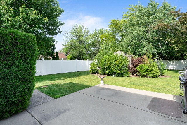 17815 Iroquois, Tinley Park, IL 60477 - fenced backyard featuring a patio