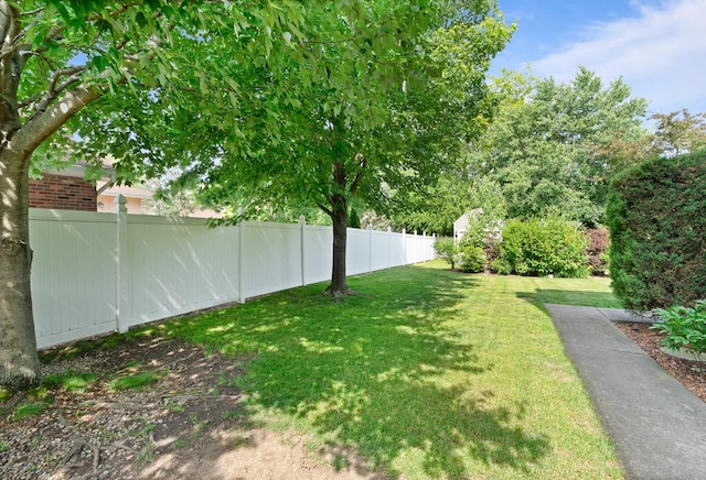 17815 Iroquois, Tinley Park, IL 60477 - view of yard