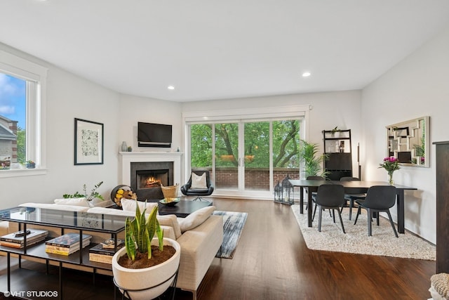 639 W Briar Pl Unit 4W, Chicago, IL 60657 - living area with a lit fireplace, wood finished floors, and recessed lighting