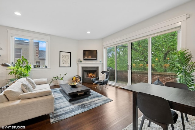 639 W Briar Pl Unit 4W, Chicago, IL 60657 - living room featuring wood finished floors, a lit fireplace, and recessed lighting