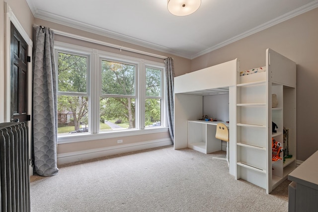 557 Garfield Ave, Aurora, IL 60506 - unfurnished bedroom with radiator heating unit, ornamental molding, carpet floors, and multiple windows