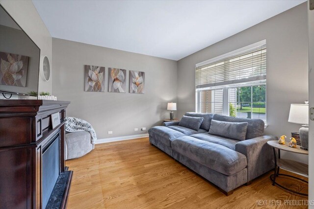 725 Bohannon Cir, Oswego, IL 60543 - living room with light wood-type flooring and baseboards