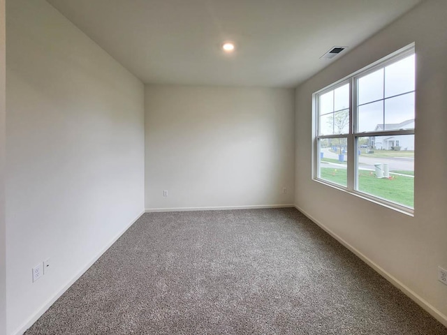 11300 Wildridge Ln, Huntley, IL 60142 - unfurnished room with carpet and recessed lighting