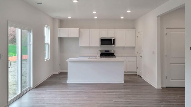 11300 Wildridge Ln, Huntley, IL 60142 - kitchen with stainless steel appliances, plenty of natural light, light wood-type flooring, white cabinetry, and recessed lighting