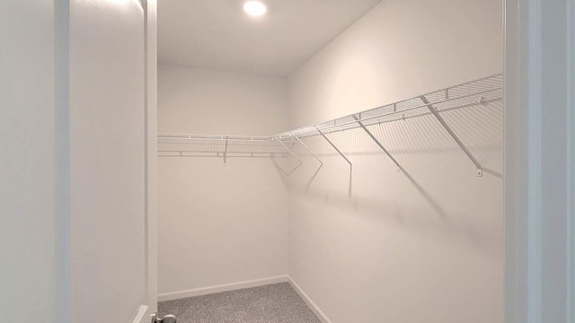 11300 Wildridge Ln, Huntley, IL 60142 - spacious closet featuring carpet flooring