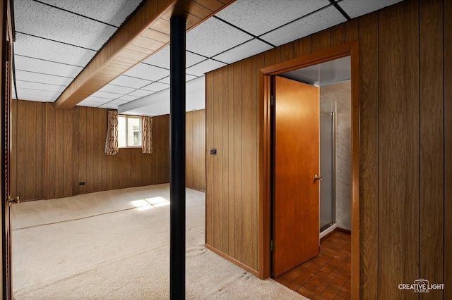 2211 Birchwood Pkwy, Woodridge, IL 60517 - below grade area featuring wood walls, carpet, and a drop ceiling