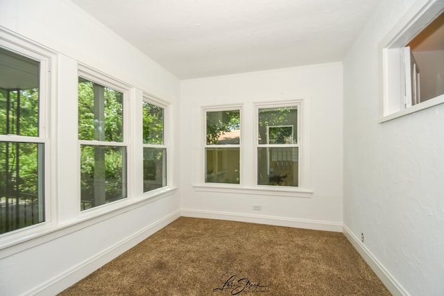 1728 Olive Rd, Homewood, IL 60430 - photo 15