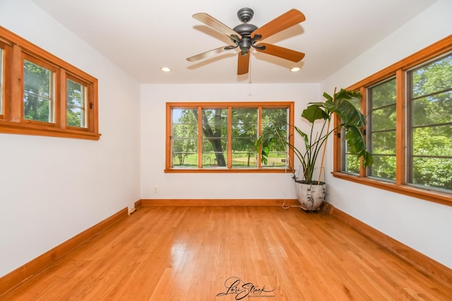 1728 Olive Rd, Homewood, IL 60430 - photo 4