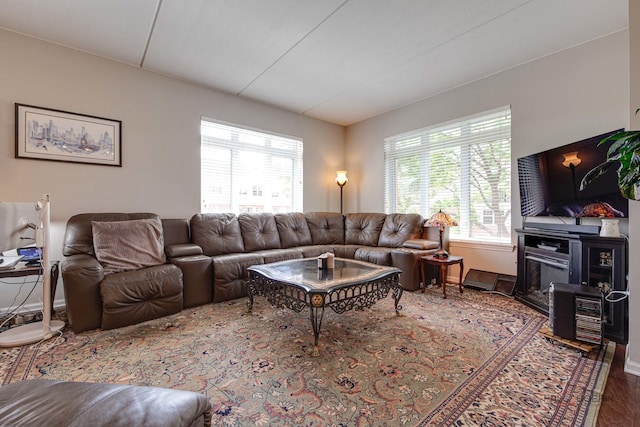 1199 E Port Clinton Rd Unit 209, Vernon Hills, IL 60061 - living area with baseboards and wood finished floors