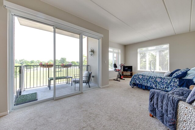 1199 E Port Clinton Rd Unit 209, Vernon Hills, IL 60061 - carpeted bedroom with access to outside and baseboards