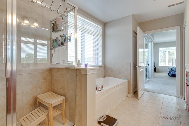 1199 E Port Clinton Rd Unit 209, Vernon Hills, IL 60061 - bathroom with tile patterned floors, a bath, and a tile shower