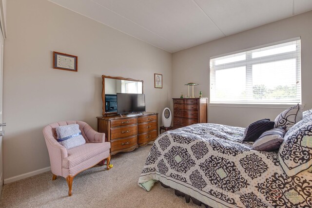 1199 E Port Clinton Rd Unit 209, Vernon Hills, IL 60061 - bedroom featuring carpet floors and baseboards