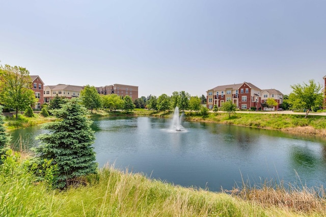 1199 E Port Clinton Rd Unit 209, Vernon Hills, IL 60061 - water view