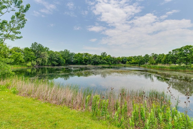 1199 E Port Clinton Rd Unit 209, Vernon Hills, IL 60061 - water view featuring a forest