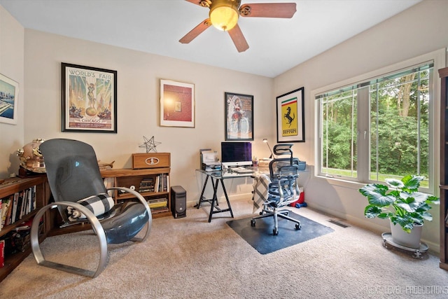 7N107 Hastings Dr, Saint Charles, IL 60175 - carpeted office with ceiling fan and baseboards
