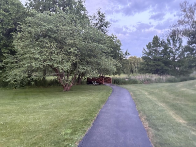 1508 Seville Ct Unit D2, Wheeling, IL 60090 - view of grassy yard