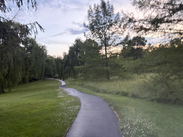 1508 Seville Ct Unit D2, Wheeling, IL 60090 - surrounding community with a yard