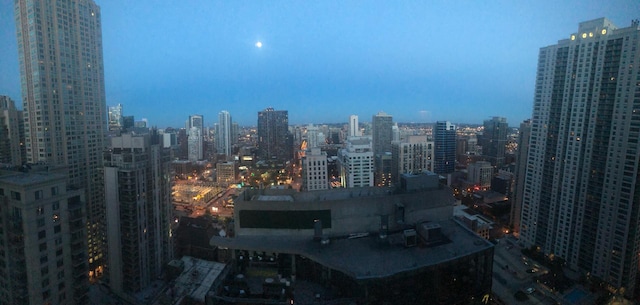 2 E Erie St Unit 3106, Chicago, IL 60611 - city view