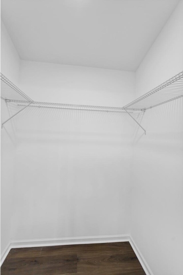 8 Cheswick Ct, Schaumburg, IL 60194 - spacious closet with dark wood-type flooring