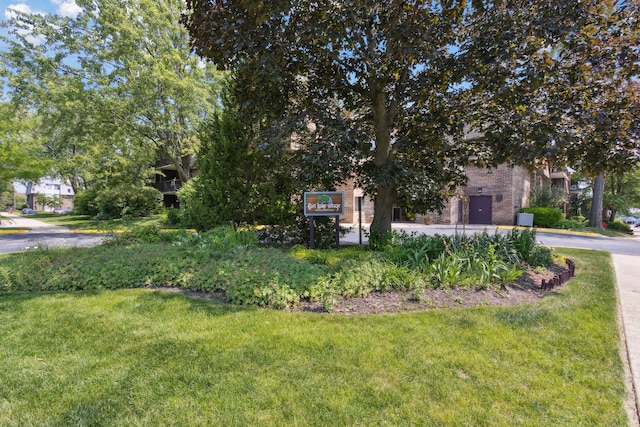 907 S Williams St Unit 206, Westmont, IL 60559 - view of property hidden behind natural elements with brick siding, a front yard, and driveway