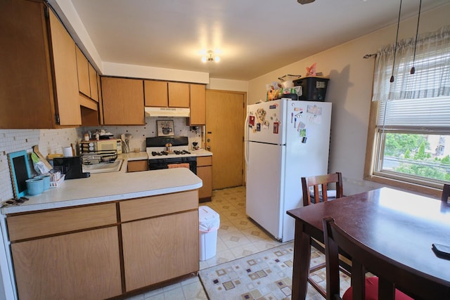 6101 N Elston Ave Unit 3E, Chicago, IL 60646 - kitchen with white appliances, under cabinet range hood, light countertops, decorative backsplash, and light flooring