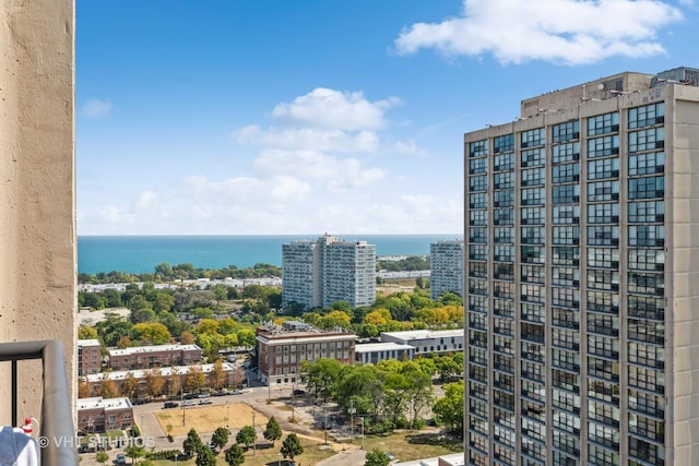 2605 S Indiana Ave Unit 2201, Chicago, IL 60616 - photo 18