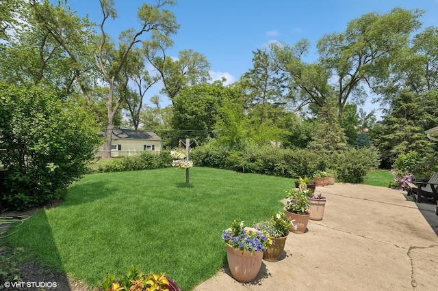 345 Catalpa Ave, Roselle, IL 60172 - view of green lawn featuring a patio