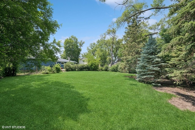 345 Catalpa Ave, Roselle, IL 60172 - view of grassy yard