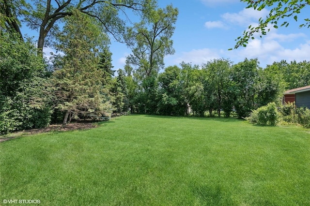 345 Catalpa Ave, Roselle, IL 60172 - view of green lawn