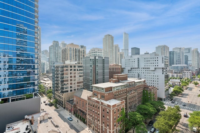 150 W Superior St Unit 1103, Chicago, IL 60654 - skyline view