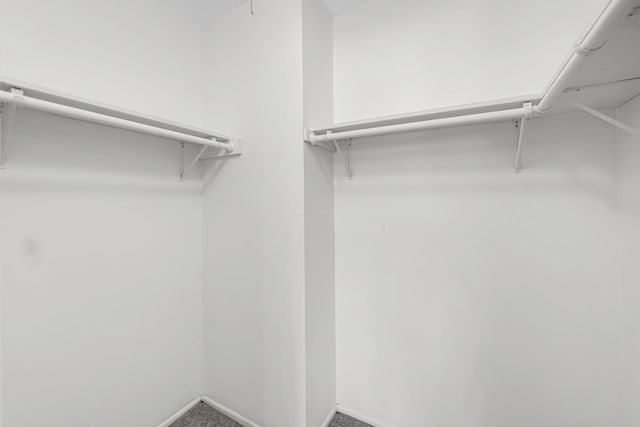 18340 Glen Oak Ave Unit 1D, Lansing, IL 60438 - walk in closet featuring carpet flooring